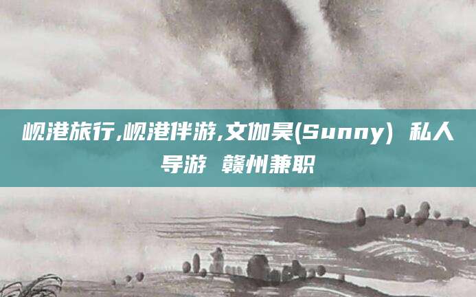 眉山岘港旅行,岘港伴游,文伽昊(Sunny) 私人导游 赣州兼职